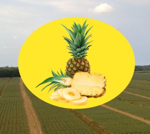 pineapple