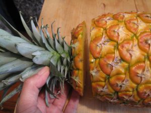 Start-flat-topped-pineapple-had-its-leaves-cut-off