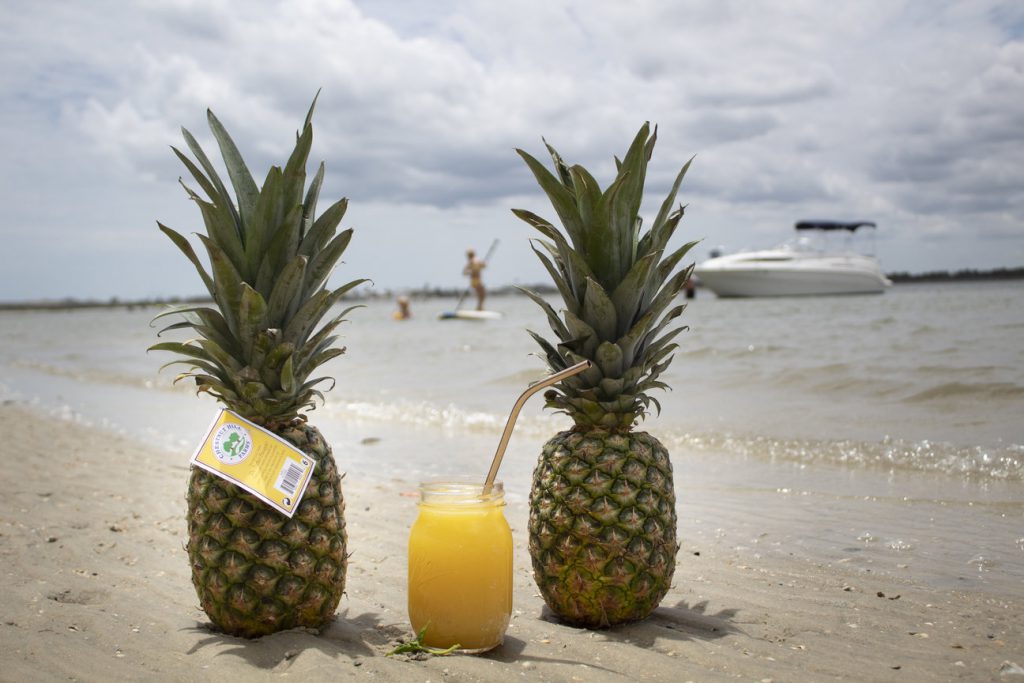 perfect pineapple beach