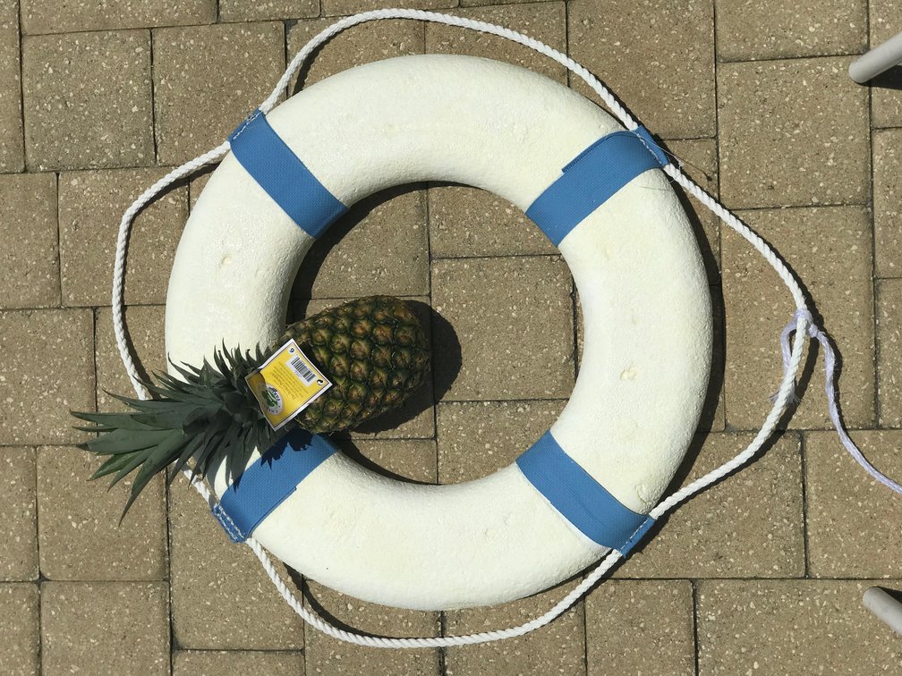 perfect pineapple lifesaver