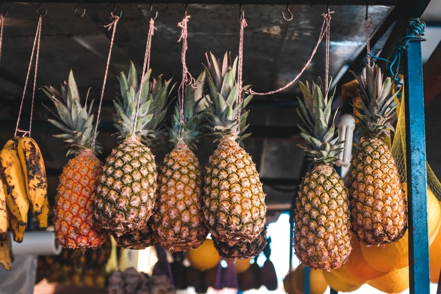 Hanging pineapples
