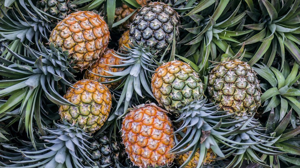 Group of Pineapple Crowns