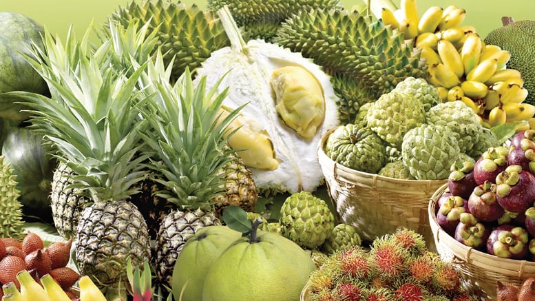 tropical fruit pineapple displays