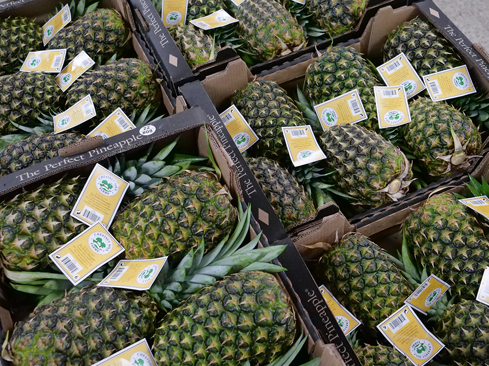 pineapple food bank donations give back