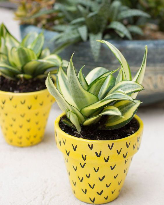 Pineapple Crafts DIY Planter