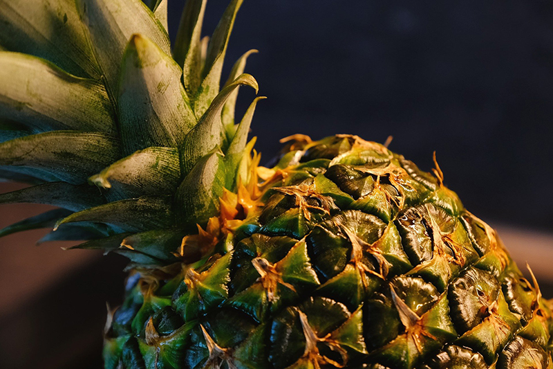 Pineapple Producer Covid-19