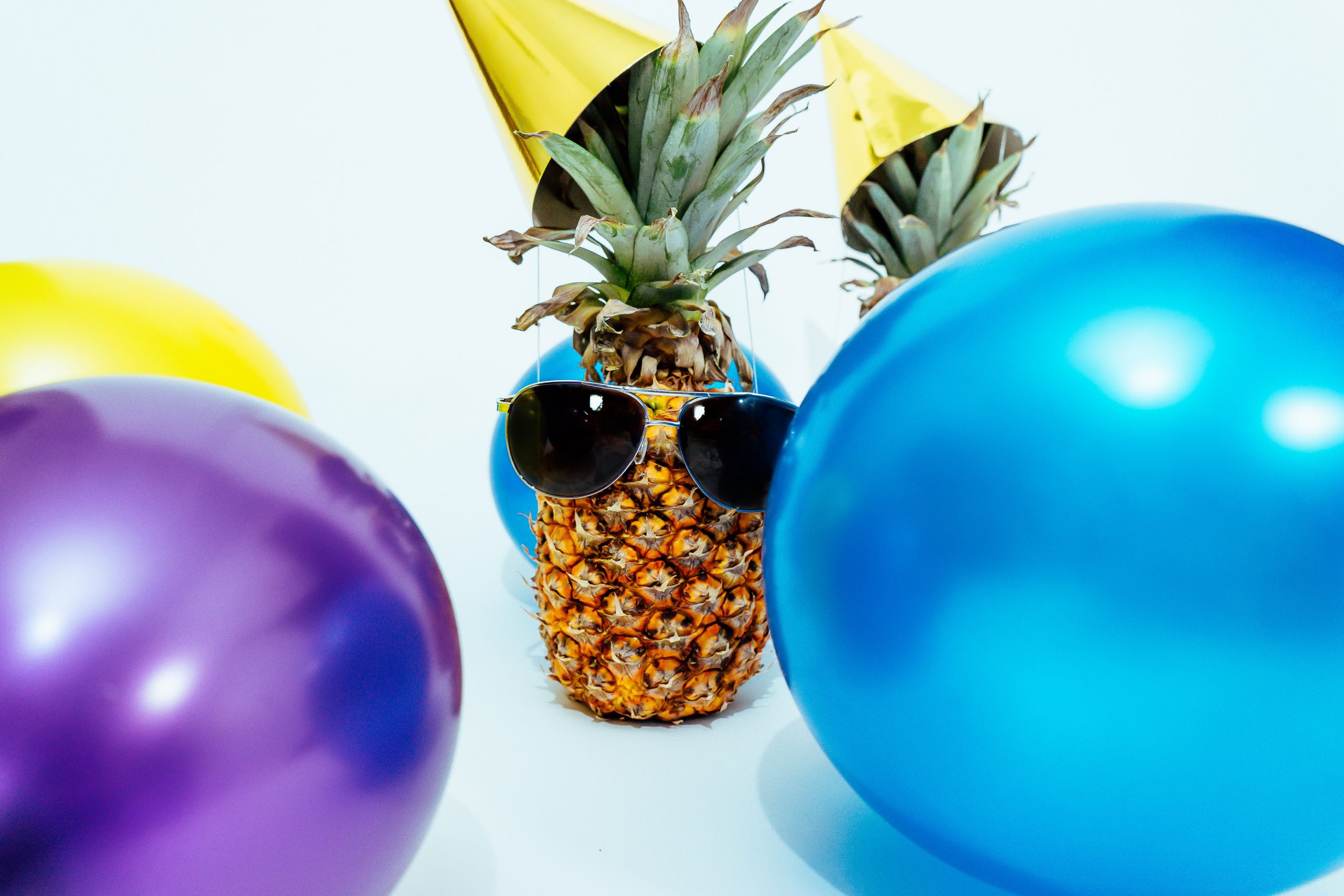 Your Tropical Christmas Party Guide Chestnut Hill FarmsChestnut Hill Your Tropical Christmas Party Guide Chestnut Hill FarmsChestnut Hill
