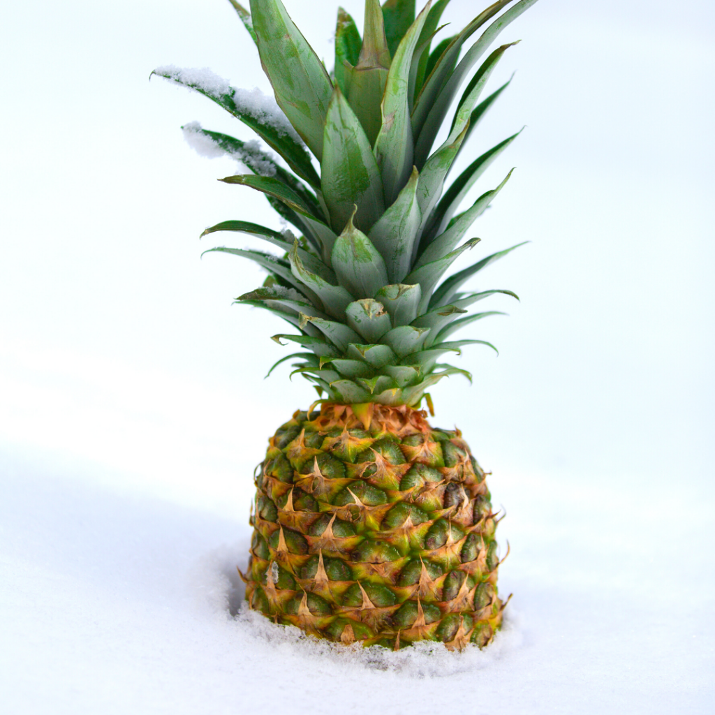 Pineapple