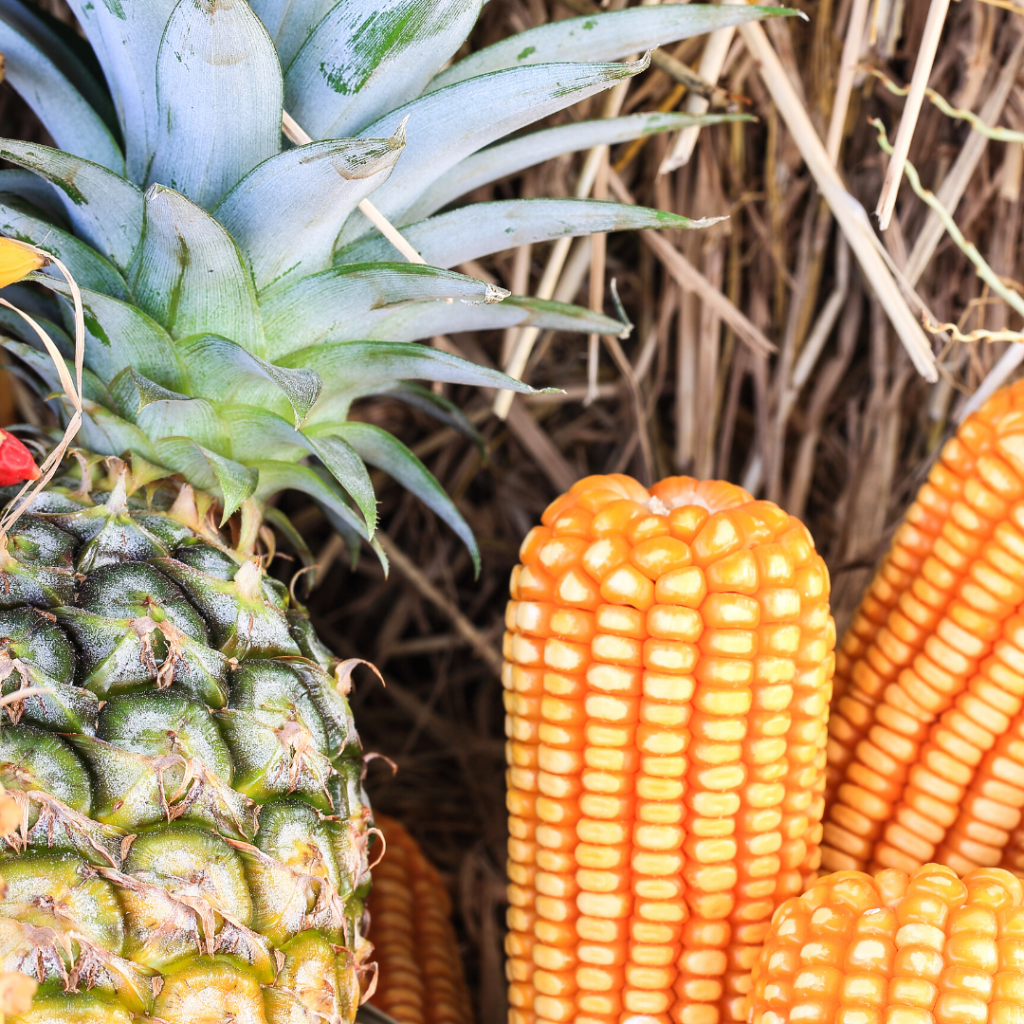 Thanksgiving Pineapple Thanksgiving