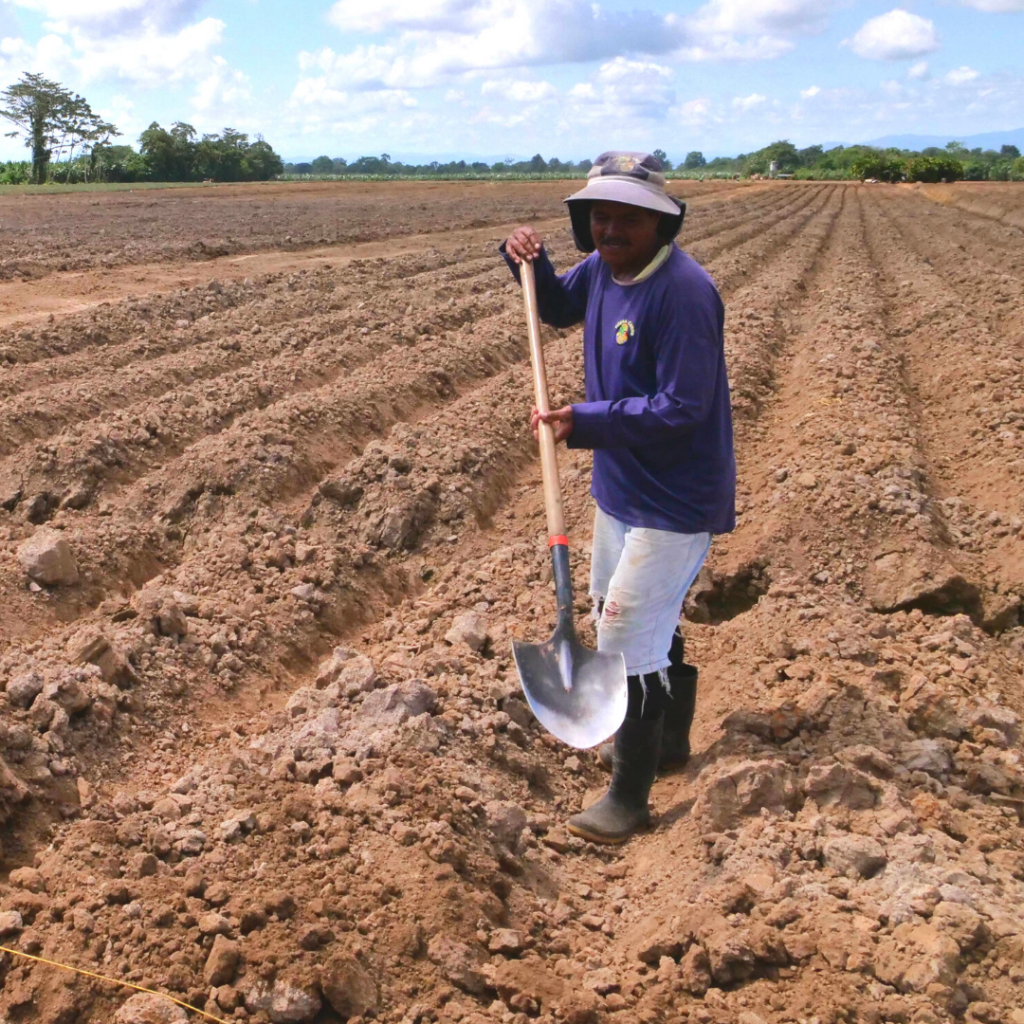 Agriculture Farmer