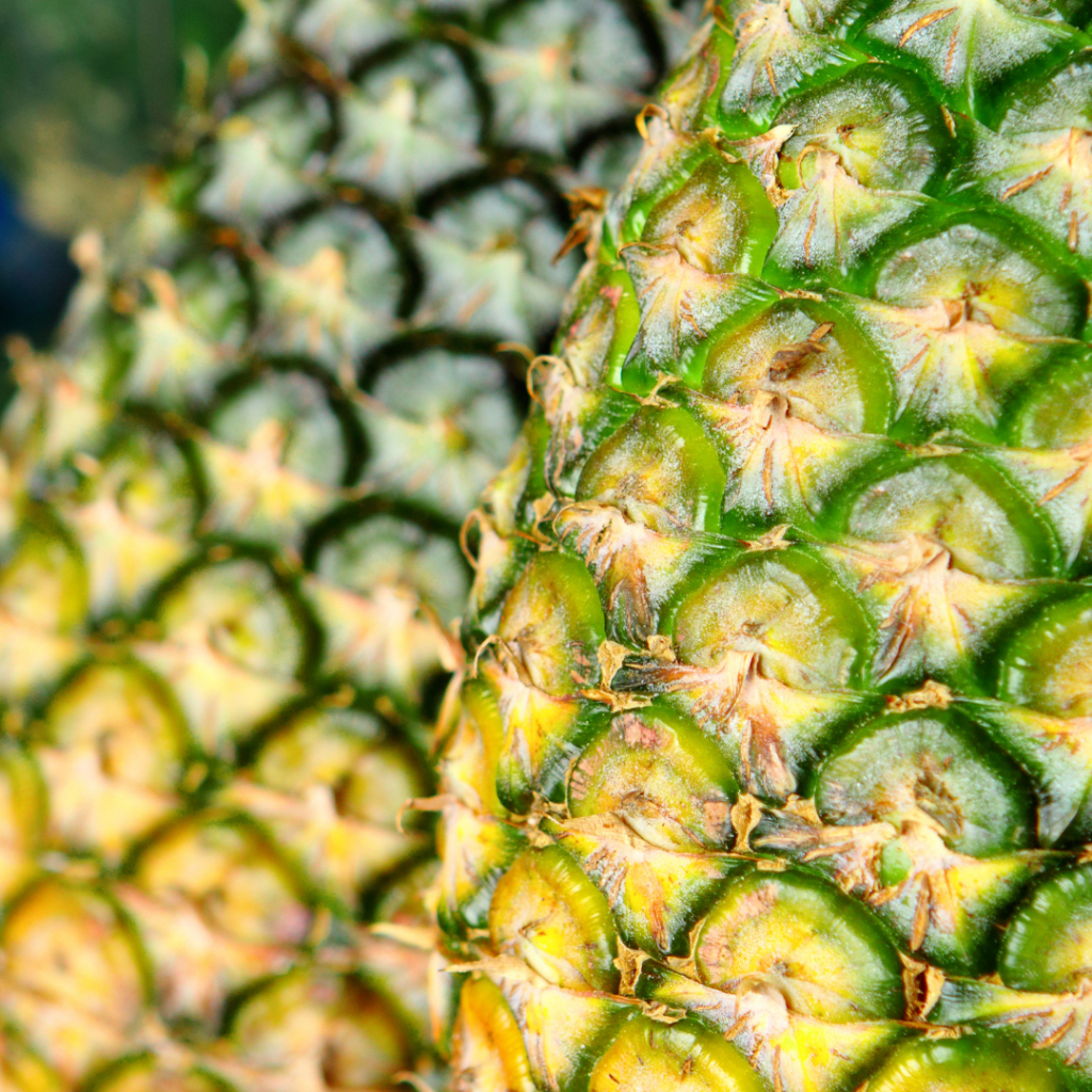 Pineapple Fruitlets