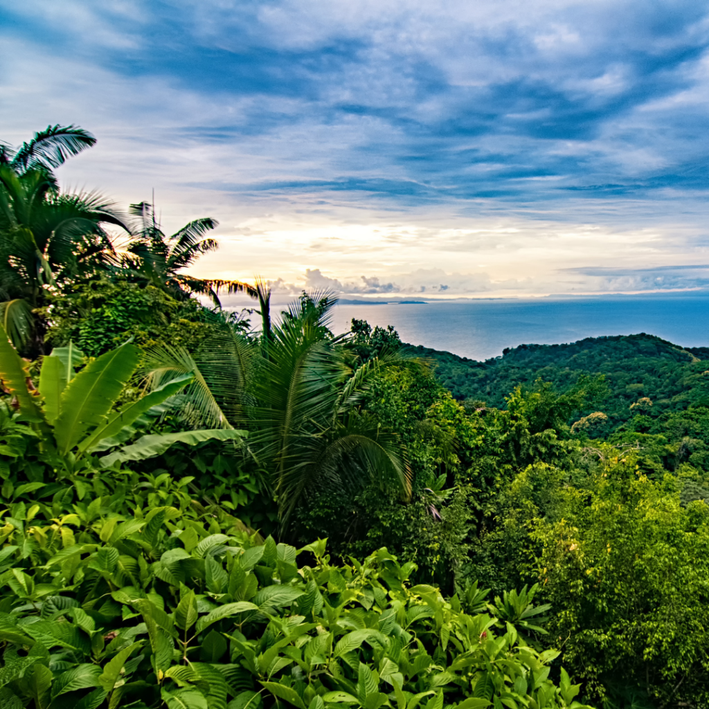 Fall in Costa Rica
