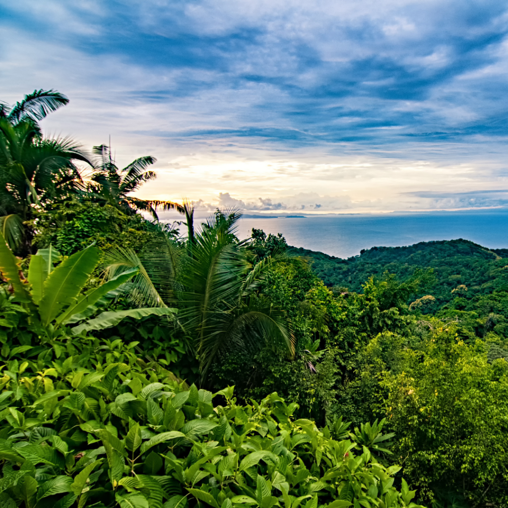 Fall in Costa Rica
