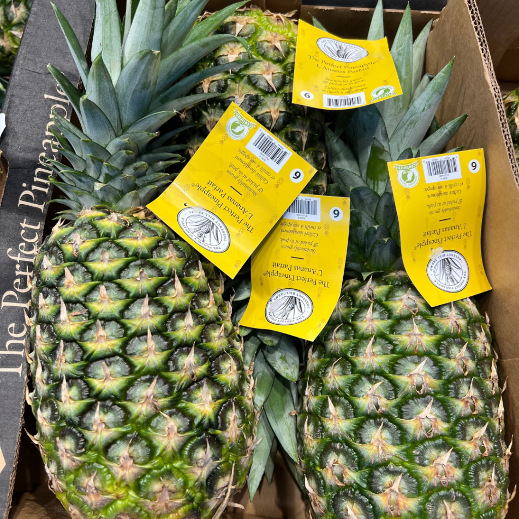 chestnut hill farms pineapples in a box