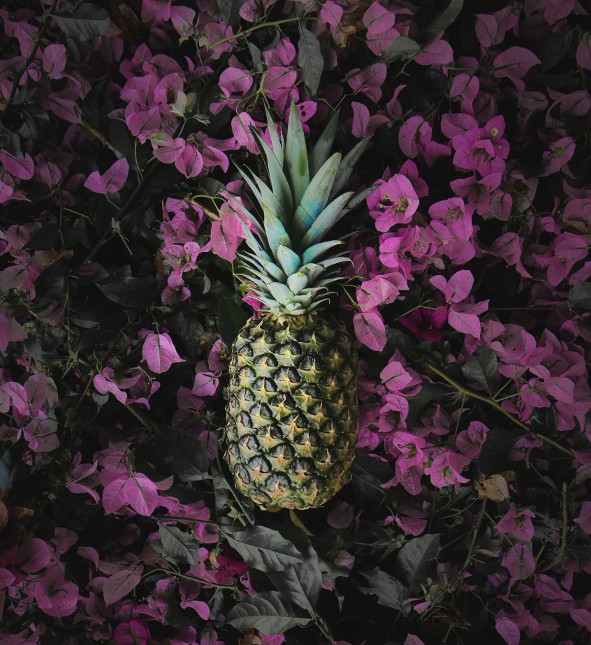 CHF pineapple on floral background