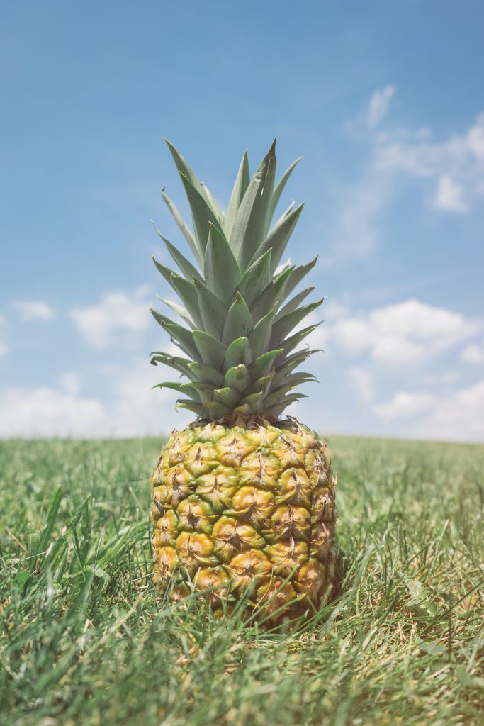 pineapple tropical fruit statistics by the numbers