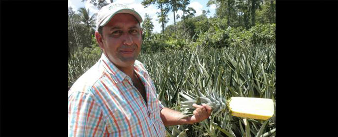 Johnny Saborio
