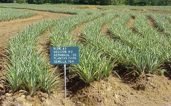 slide46