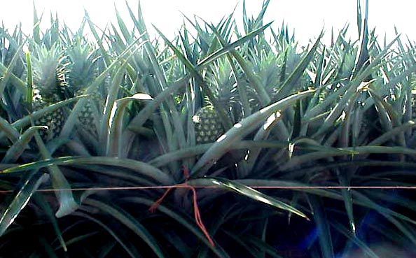 slide60