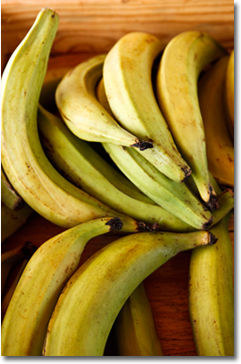 Plantain