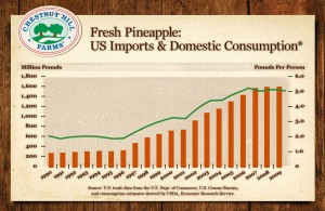 Fresh Pineapple: US imports and Domestic Consumption