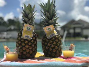 Two Pineapples by the pool