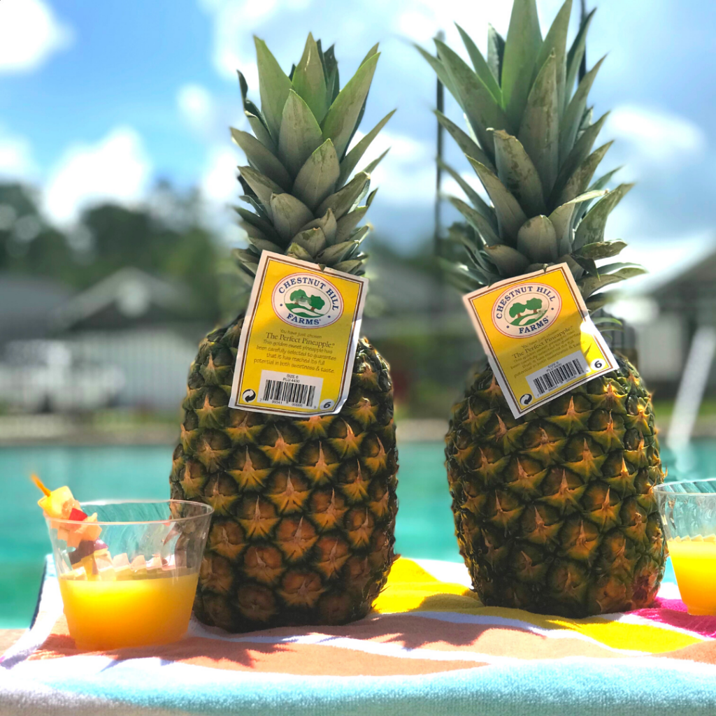 Two Pineapples by the Pool with a drink to the left