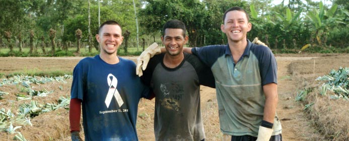 The world's fastest pineapple planters: Jason Gutierres, Edwin Valle, Miguel Gutierres.