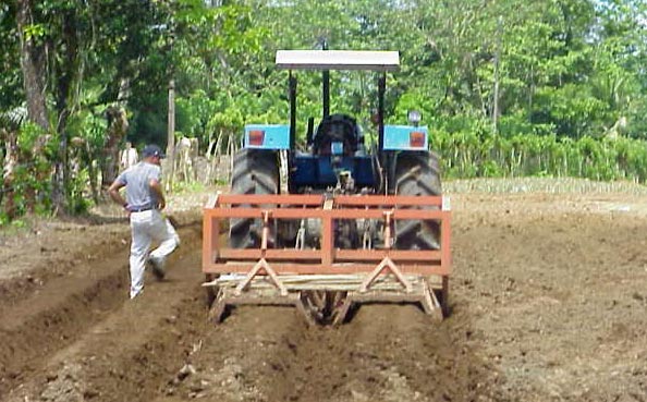 Soil Preparation - Bedding