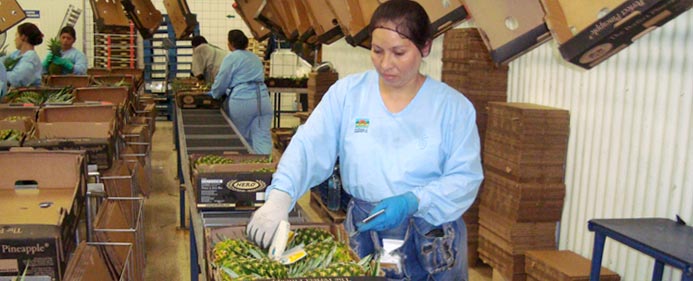 Packing and tagging.