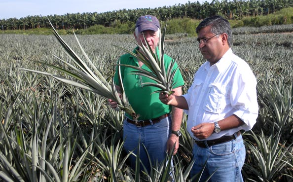 Planting - Seed Selection