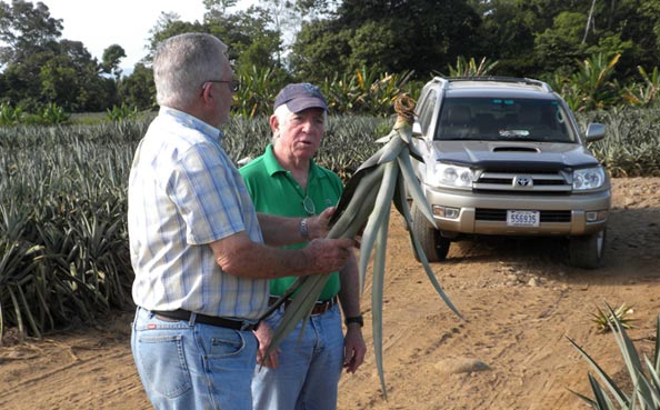 Planting - Seed Selection