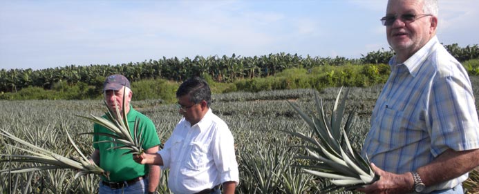 John Ordman, Oscar Obando and Dr. Lloyd Berg selecting seeds for the next planting.