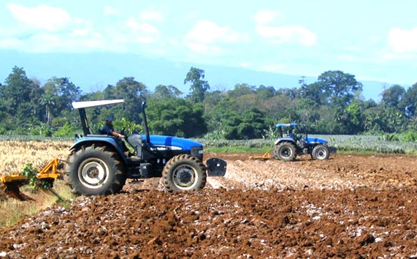 Soil Preparation - Sub-Soiling