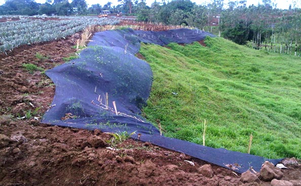 Cultivation Practices - Erosion Control