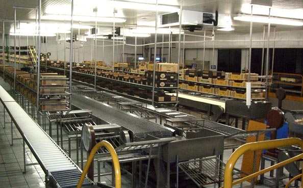 Packing Operation - Boxing & Tagging