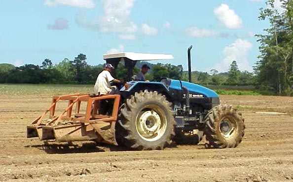 Soil Preparation - Bedding