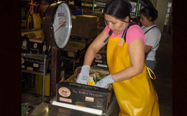 Packing Operation - Checking Weight