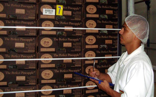 Packing Operation - Quality Check & Shipping Preparation