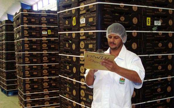 Packing Operation - Quality Check & Shipping Preparation