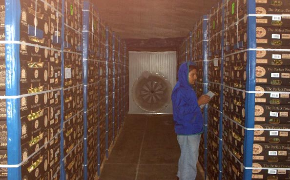 Packing Operation - Pre-Cooling